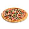 Pizza Vegetaria